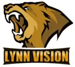 Lynn Vision