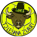 TJ Lesana Zubří