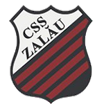 CSS Zalău J3