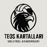 TEOS Kartalları SK