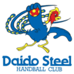 Daido Steel