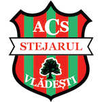 ACS Stejarul Vlădești J3