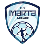 Team