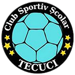 CSS Tecuci J3