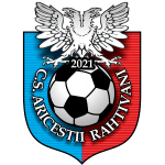 CS Ariceştii Rahtivani J3