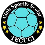CSS Tecuci J3
