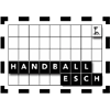 Escudo do Handball Esch