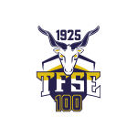 Shield of TFSE