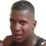 Escudo do Arthur Lopes