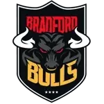 Bradford Bulls