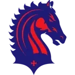 Shield of London Broncos