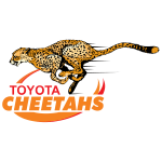 Cheetahs