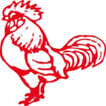 Escudo do Dorking
