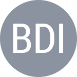 Escudo do Burtsev D / Ianin N