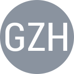 Escudo do Gong M-X / Zhang Z