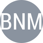 Escudo do Basic N / Mashtakov N