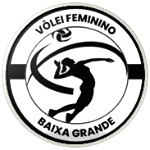 Escudo do Baixa Grande