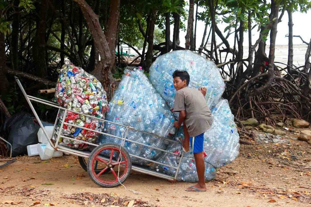 Veja como a cooperativa de reciclagem funciona, os impactos que ela gera e como é afetada pelo meio ambiente e economia. 