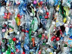 Veja como a cooperativa de reciclagem funciona, os impactos que ela gera e como é afetada pelo meio ambiente e economia.