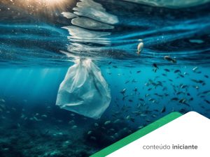 Descubra os impactos ambientais causados pelo descarte incorreto do plástico e os riscos que essa prática representa para o meio ambiente.