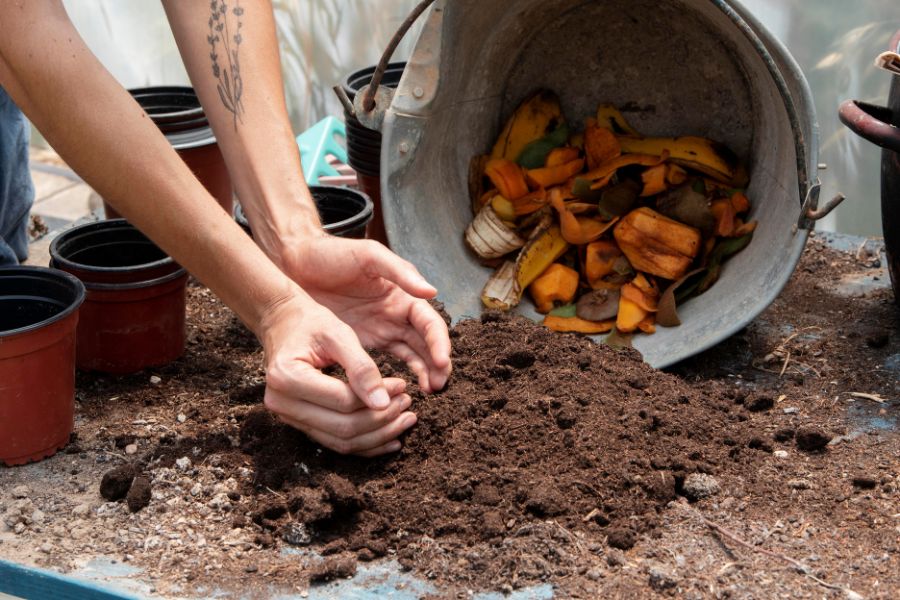 Transforme seus hábitos e contribua para um futuro mais sustentável. Dicas para reduzir o consumo e adotar uma vida mais eco-friendly.