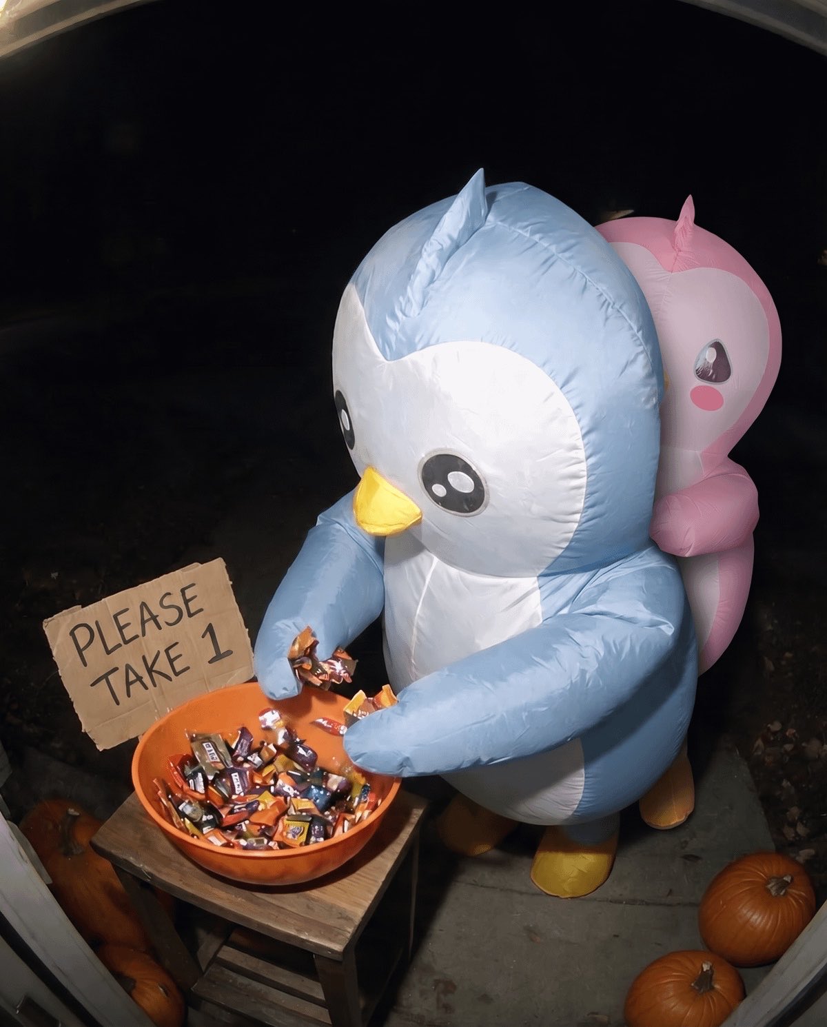 Pudgy Penguins Teases Halloween-Themed Drop Slated for Sept. 29 - Abstract blockchain breaking news