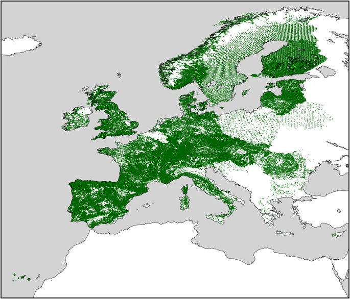 Distribución espacial de todas las ocurrencias presentes en los bosques de la UE.