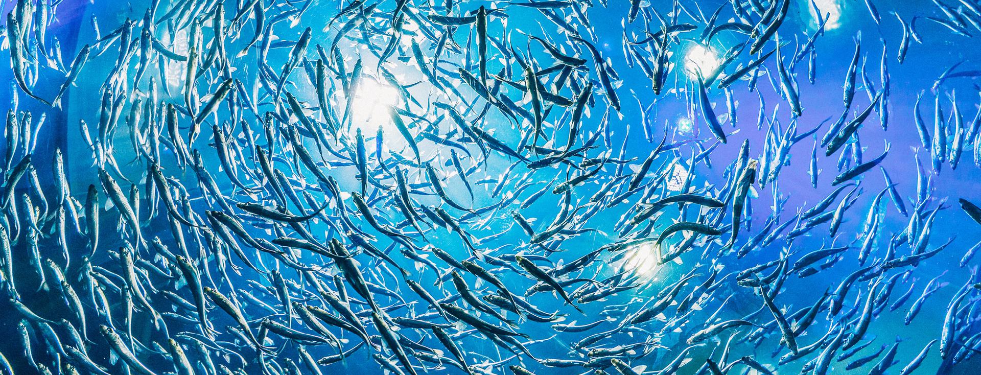 PnC Conference & Party 2023