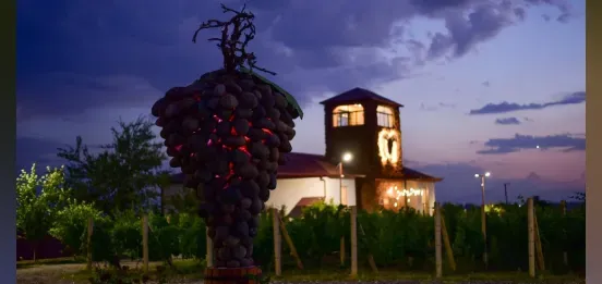 Alluria Wines — Туры и Дегустации