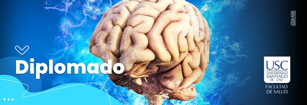 Diplomado en neurorehabilitación y terapéutica de las alteraciones del neurodesarrollo 2026B
