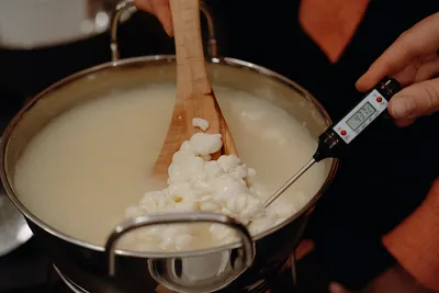 Mozzarella-Kurs mit Weinbegleitung - Winterhude (Thumbnail 3)