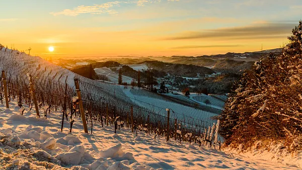 Weinprobe: Winterweine im Weinlager Speicher 1