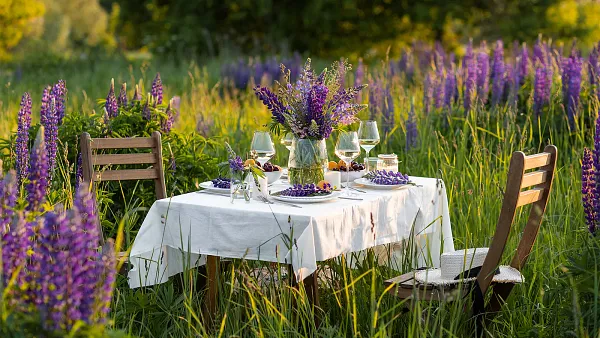 Weintasting: Frühlingsweine