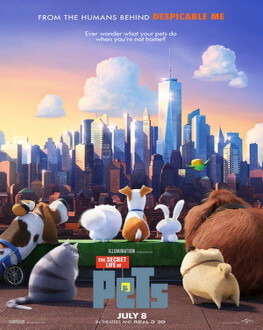 The secret life of pets Singuri acasă 