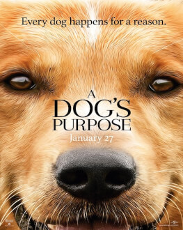 A Dog's Purpose / Câinele, adevăratul meu prieten 