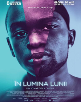 Moonlight / În lumina lunii 