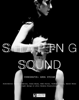 Shaping Sound +2017