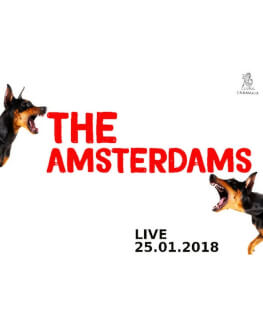 The Amsterdams Live