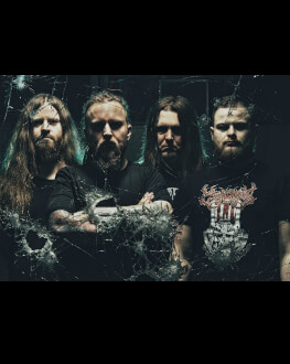 Decapitated [pl] ,Hatesphere [dk] ,ThyDisease [pl] 