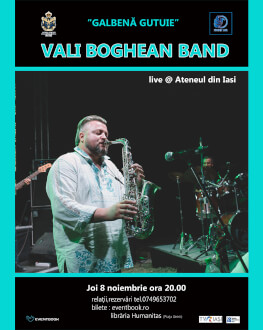 Vali Boghean Band live