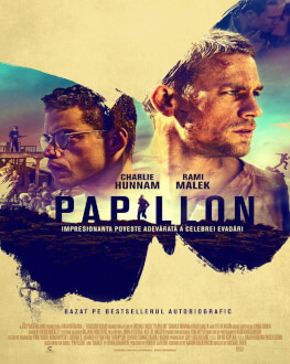 Papillon 