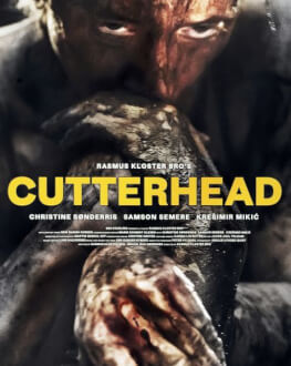 Cutterhead TIFF.13 Sibiu