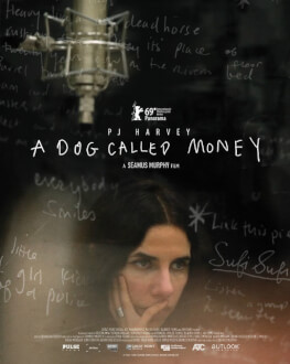 PJ Harvey: A Dog Called Money DokStation 4 #DISCO
