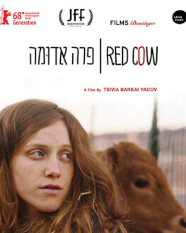 RED COW / PARA ADUMA FESTIVALUL DE FILM ISRAELIAN