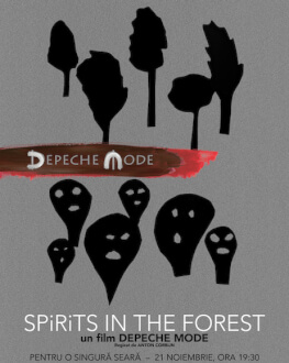 Depeche Mode Spirits in the Forest