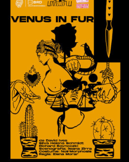 Venus in fur 05 November 2022 unteatru