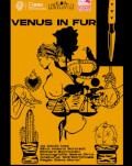 Venus in fur de David Ives