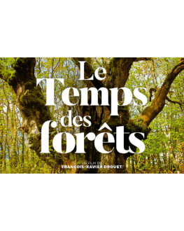 LE TEMPS DES FORETS / TIMPUL PADURII Alpin Film Festival 2020