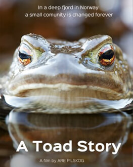 A TOAD STORY/ KUNSTEN Å LEGGJE SEG PADDEFLAT + REFLECTIONS/ SPEGLINGAR NORDIC FILM FESTIVAL 2020