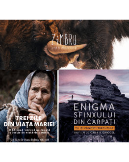 MARIA + ZIMBRUL ÎNTOARCEREA LEGENDEI + ENIGMA SFINXULUI Alpin Film Festival 2020